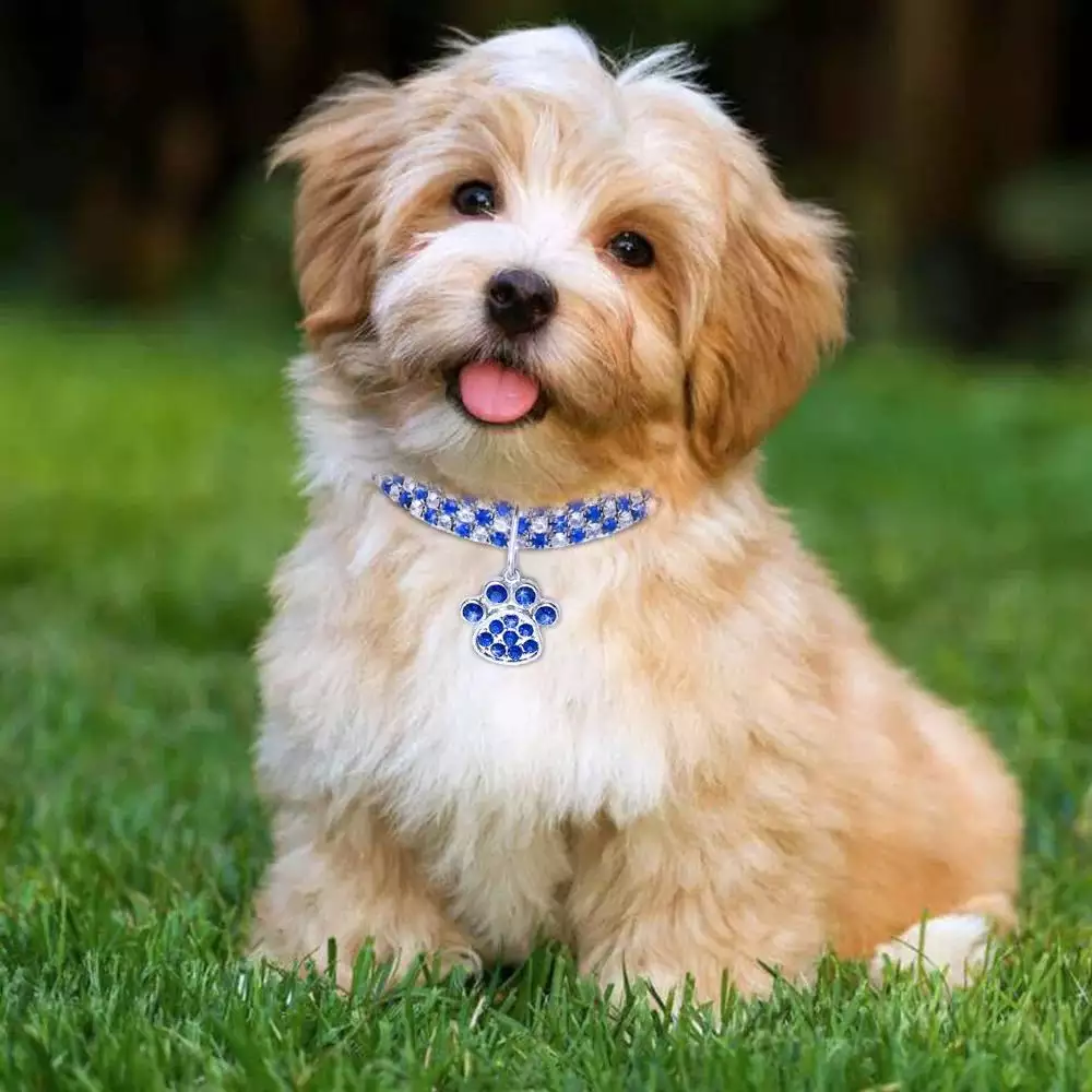 Luxury Rhinestone Pet Necklace for Dogs & Cats
